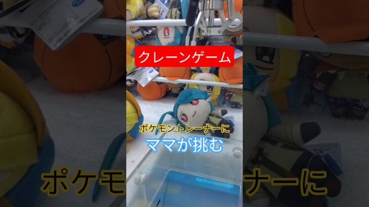 【再掲・クレーンゲーム】下手くそ夫婦で挑むトレーナー戦#クレーンゲーム#ゲームセンター #ポケモン