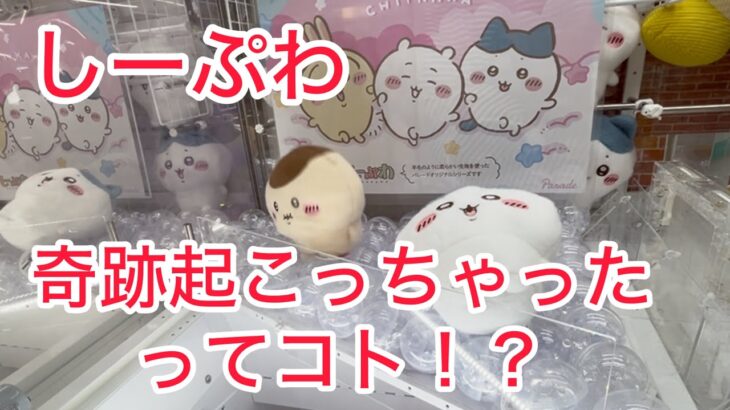 【神回】【ちいかわ】しーぷわぬいぐるみ取りにきたら奇跡が起こった!