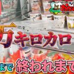 【前編】１万キロカロリー取れるまで終われまてん！【クレーンゲーム】