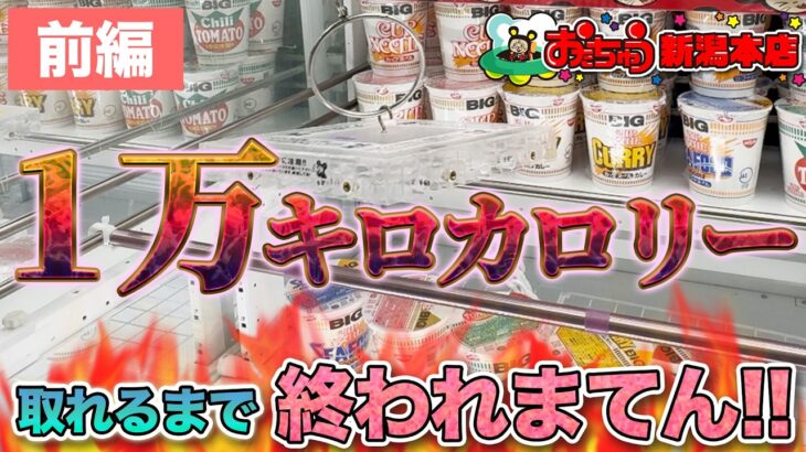 【前編】１万キロカロリー取れるまで終われまてん！【クレーンゲーム】
