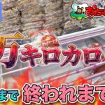 【後編】１万キロカロリー取れるまで終われまてん！【クレーンゲーム】