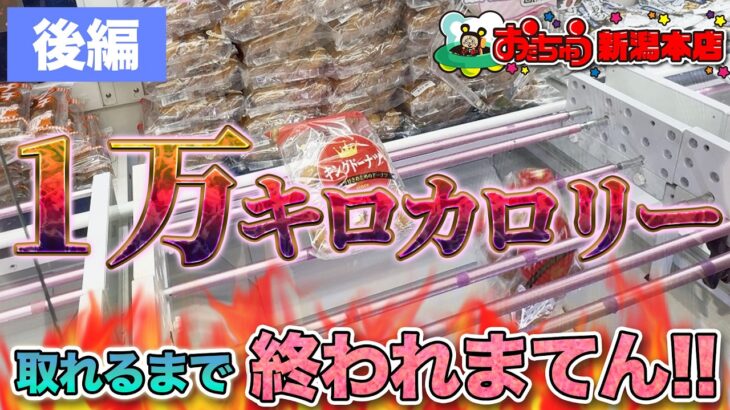 【後編】１万キロカロリー取れるまで終われまてん！【クレーンゲーム】