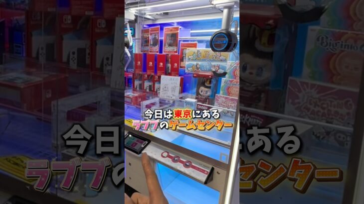 【ゲーセン】東京にあるラブブのゲーセンで取れるまで帰れませんやってみました。