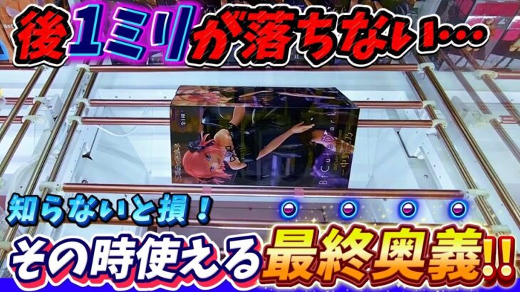 [クレーンゲーム] 秋葉とおたちゅうで長箱人気景品取り比べ！ [ユーフォーキャッチャー]