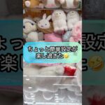 【クレーンゲーム攻略】ちょっと簡単設定が楽し過ぎた！！