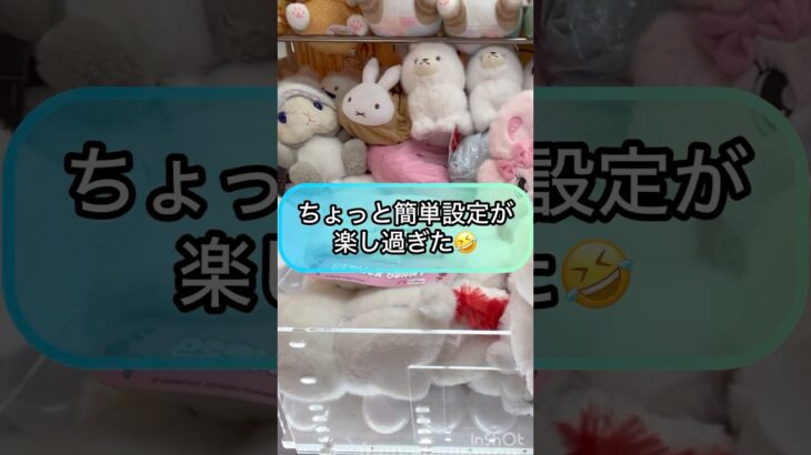 【クレーンゲーム攻略】ちょっと簡単設定が楽し過ぎた！！