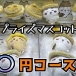 【クレーンゲーム】ちいかわ秋だもんマスコットに初日チャレンジ!!