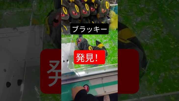 【再掲・クレーンゲーム】ブラッキーvs下手くそおじさん#クレーンゲーム#ポケモン #ブラッキー