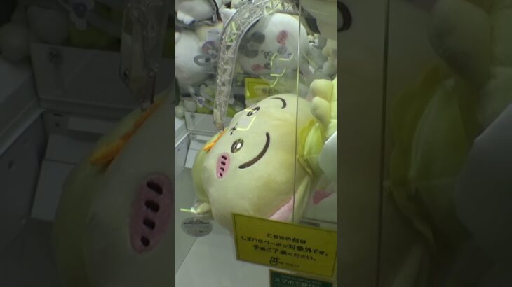 新宿のちいかわ確率機がヤバかったww#クレーンゲーム