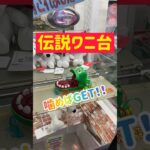 【珍台】ワニが噛めば景品ゲットwww