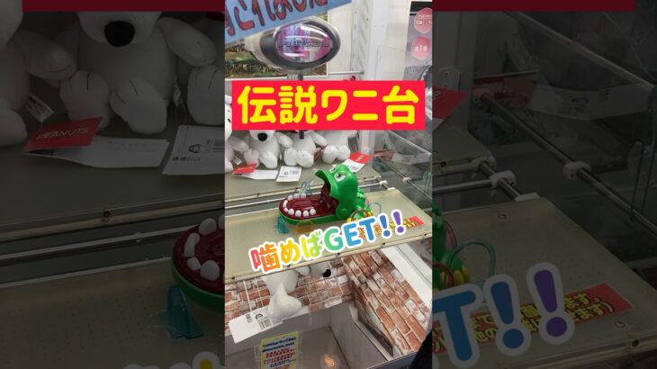 【珍台】ワニが噛めば景品ゲットwww