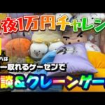 【1万円チャレンジ】なんか珍しい景品がいっぱい出てきたらしい…! LIVE IN METOKYO SHINJUKU