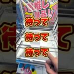 ゲームセンターの残り1個って取りやすいと思いませんか？それとも逆か？！笑#クレーンゲーム #ufoキャッチャー #ゲームセンター #クレーンゲーム攻略