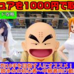 初心者必見！1000円でフィギュアを取る方法教えます。【クレーンゲーム】【レジャーランド前橋）