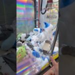 ちいかわが大量…!?こんなの見つけたら100円入れて！#shorts #クレーンゲーム #ufoキャッチャー #cranegame