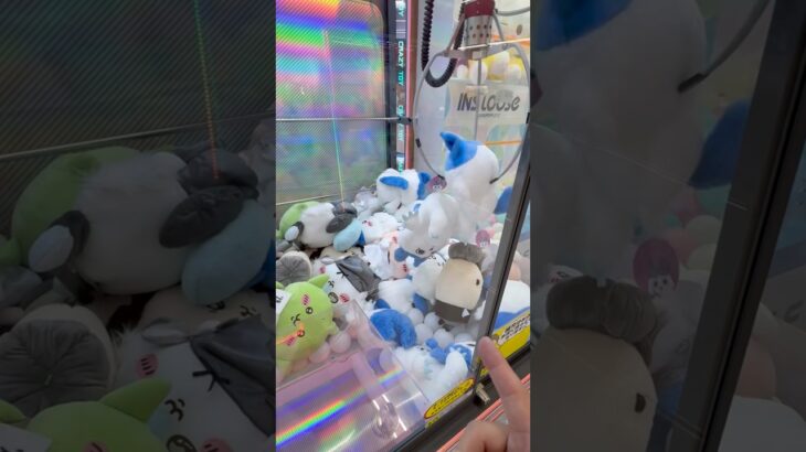 ちいかわが大量…!?こんなの見つけたら100円入れて！#shorts #クレーンゲーム #ufoキャッチャー #cranegame