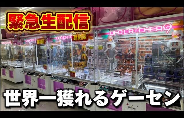 【クレーンゲーム】世界で1番獲れる場所へ！全てが規格外のお店で暴れます！【回遊館鳥取店・UFOキャッチャー】