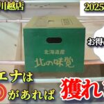【月刊ベネクス川越店】クレーンゲーム日本一獲れるお店にてハイエナでお得に景品の取るコツを紹介 #2025年11月