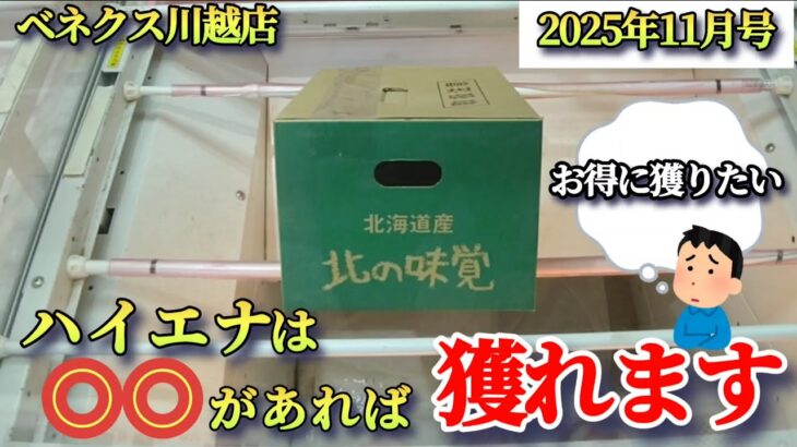 【月刊ベネクス川越店】クレーンゲーム日本一獲れるお店にてハイエナでお得に景品の取るコツを紹介 #2025年11月