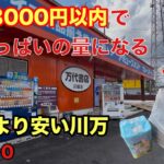 これだけの景品が3000円以内で取れちゃった #クレーンゲーム #ゲーセン #万代書店川越