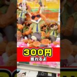 300円で獲れる！#shorts #クレーンゲーム #クレーンゲーム攻略  #ufoキャッチャー #ゲームセンター
