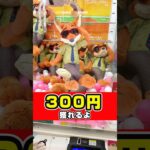 300円で獲れる！#shorts #クレーンゲーム #クレーンゲーム攻略 #ufoキャッチャー #ゲームセンター