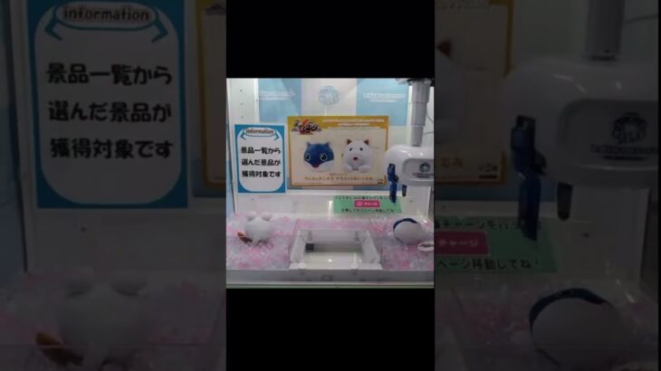 【オンクレ】風来のシレン6 マムル&チンタラマスコットぬいぐるみ