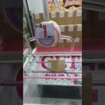 色々ゲットだぜ！62#プライズ獲得 #アミューズメント限定 #ゲームセンター #ufoキャッチャー #クレーンゲーム #ゲーセン #ufoキャッチャー動画 #クレーンゲーム攻略