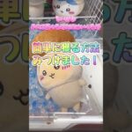 ちいかわきのこ着ぐるみBIGぬいぐるみを簡単に獲る方法みつけました！ #クレーンゲーム #ちいかわ #ぬいぐるみ