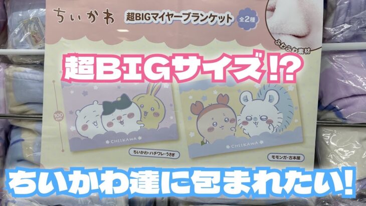 【クレーンゲーム】ちいかわ 超BIGマイヤーブランケットに初日チャレンジ！！