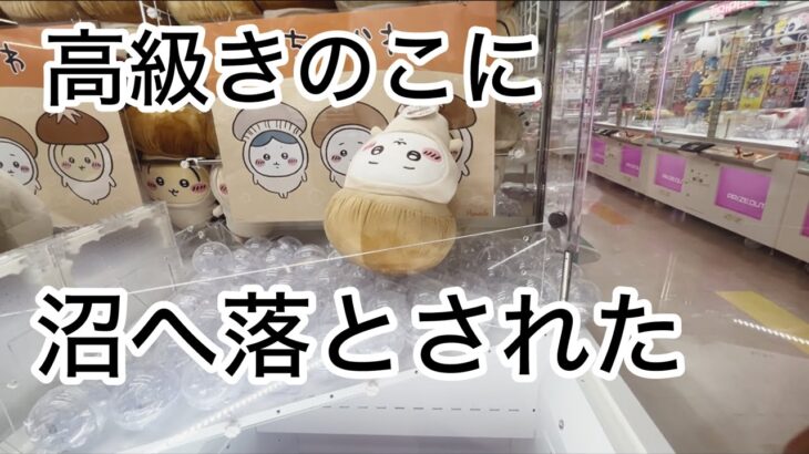 【ちいかわ】きのこ着ぐるみBIGぬいぐるみを取らさせて頂く動画