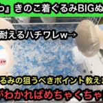 『ちいかわ』きのこ着ぐるみBIGぬいぐるみを自力ゲットする方法はコレ！上手くいけば500円以内で獲れます！【クレーンゲーム】【JapaneseClawMachine】【인형뽑기】【日本夾娃娃】