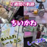 ちいかわきのこ着ぐるみBIGぬいぐるみ、しーぷわ、ぬいふわトートミニ、まんまるミニシリコンポーチ、番外編（カキにゃん、Ado収納BOX）ボーリューム満点です☆【クレーンゲーム】