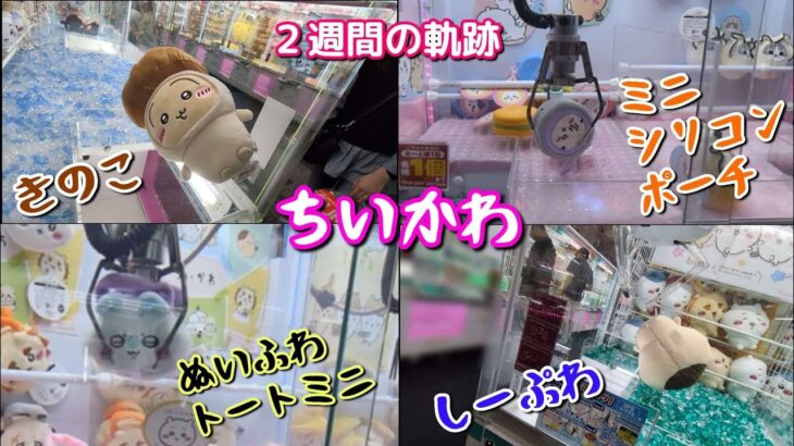 ちいかわきのこ着ぐるみBIGぬいぐるみ、しーぷわ、ぬいふわトートミニ、まんまるミニシリコンポーチ、番外編(カキにゃん、Ado収納BOX)ボーリューム満点です☆【クレーンゲーム】