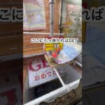 【ベネクス浦和店】ちいかわ超BIGマイヤーブランケットを裏技で狙ってみたら最強になったww