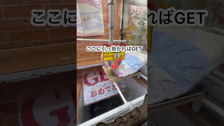 【ベネクス浦和店】ちいかわ超BIGマイヤーブランケットを裏技で狙ってみたら最強になったww