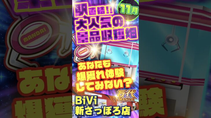 【万代 BiVi新さっぽろ店】獲れすぎ注意！大興奮の雪崩で爆獲れ体験！#クレーンゲーム