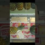 ベネクス浦和店に行ったらオロナミンCとパイナップルの景品が獲れた #shorts