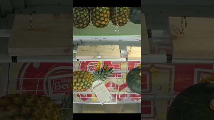 ベネクス浦和店に行ったらオロナミンCとパイナップルの景品が獲れた #shorts