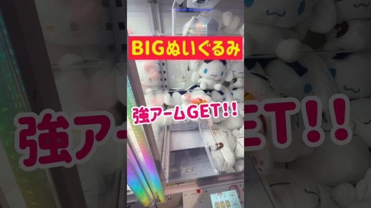 【ぬいぐるみ攻略】強アームでしっかり掴んでGET！！！