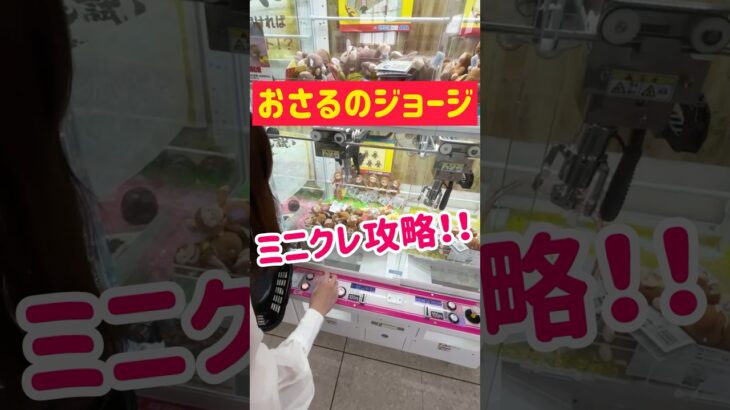 【ミニクレ攻略】おさるのジョージをじわ寄せGET！！！