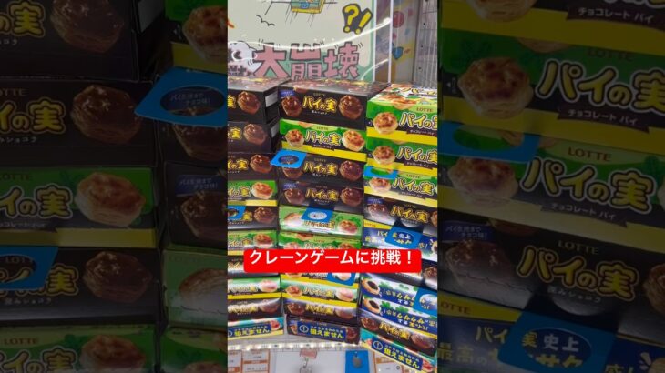 パイの実GETに挑戦！　#クレーンゲーム #拡散 #札幌市 #ゲーセン #ufoキャッチャー #北海道 #景品