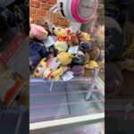 GET( *˙ω˙*)و ｸﾞｯ! #クレーンゲーム #クレーンゲーム景品 #クレゲ #プライズ獲得 #ゲームセンター #ゲーセン #アミューズメント限定 #ufoキャッチャー