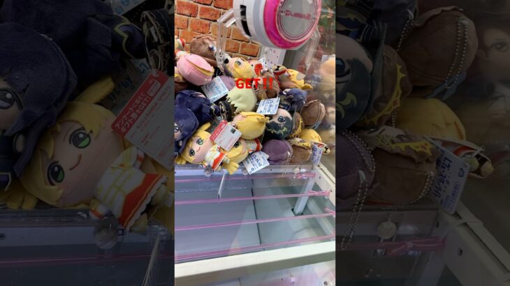 GET( *˙ω˙*)و ｸﾞｯ! #クレーンゲーム #クレーンゲーム景品 #クレゲ #プライズ獲得 #ゲームセンター #ゲーセン #アミューズメント限定 #ufoキャッチャー
