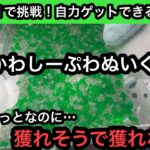 ちいかわしーぷわぬいぐるみ！モモンガが欲しい！何度も自力で獲れそうだったのに…なかなか獲れない！【クレーンゲーム】【JapaneseClawMachine】【인형뽑기】【日本夾娃娃】
