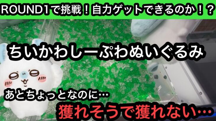 ちいかわしーぷわぬいぐるみ！モモンガが欲しい！何度も自力で獲れそうだったのに…なかなか獲れない！【クレーンゲーム】【JapaneseClawMachine】【인형뽑기】【日本夾娃娃】