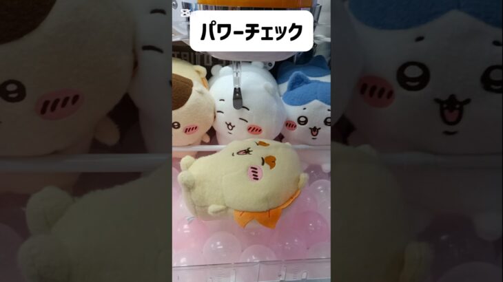 【クレーンゲーム】ちいかわ しーぷわ攻略法💛シーサー💛#ちいかわ#クレーンゲーム#シーサー#くりまんじゅう#ぬいぐるみ#グッズ#最新#新作#プライズ#取り方#攻略#UFOキャッチャー#ちい活#娃娃机