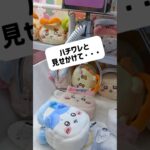 【ちい活クレゲ】ちいかわトートミニ攻略不可能？💓　#ちいかわ#ハチワレ#カニちゃん#クレーンゲーム#ぬいぐるみ#グッズ#トート#最新#新作#プライズ#攻略#UFOキャッチャー#ちい活#吉伊卡哇#娃娃机