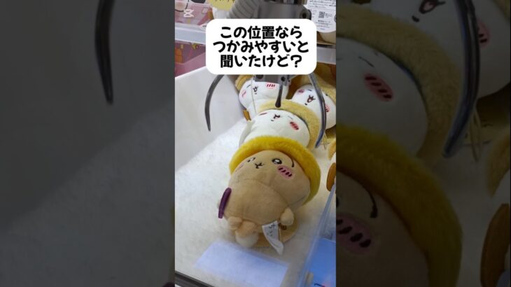 【ちい活クレゲ】ちいかわ秋だもん🍠店員さん助言聞いた結果・・・💛#ちいかわ#うさぎ#クレーンゲーム#ぬいぐるみ#グッズ#コツ#取り方#秋だもん#最新#新作#プライズ#攻略法#UFOキャッチャー#ちい活