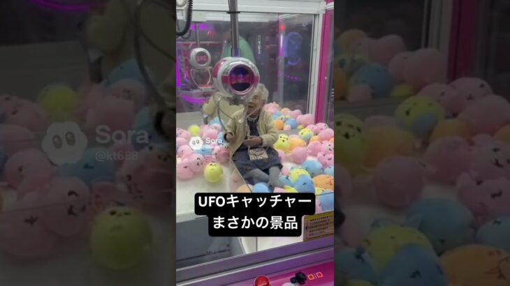 UFOキャッチャーまさかの景品